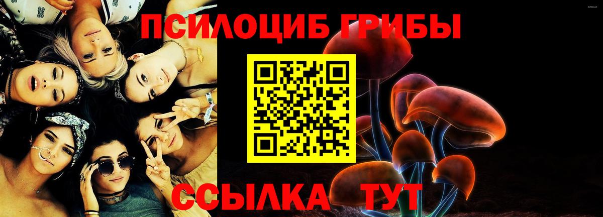 Галлюциногенные грибы Psilocybine cubensis Нефтеюганск